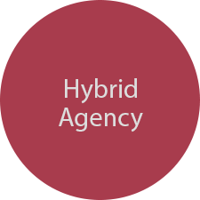 Hybrid Agency